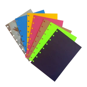 Refil Disco Journal Criativo (CFJC01)