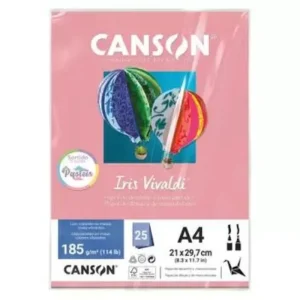 Papel Vivaldi 185g A4 25folhas Canson com 05 cores Pasteis