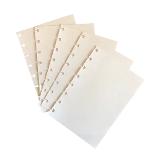 Refil Disco Folhas Pontilhadas (EFPO01)