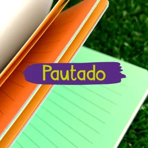 Caderneta Flexível Folhas Pautadas (EFPA01)